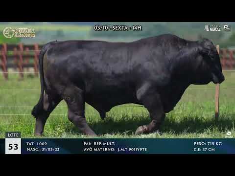 LOTE 053