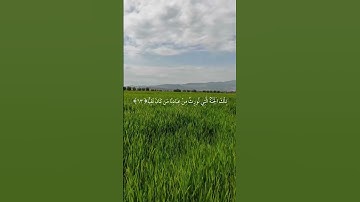 سورة مريم|٦٣-٦٤|القارئ:#ياسر_الدوسري #قران #quran #راحة_نفسية #قران_كريم  #تلاوة_هادئة #تلاوة_خاشعة