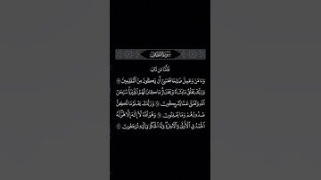 #القرآن_الكريم #سورة_القصص #ياسر_الدوسري #quran