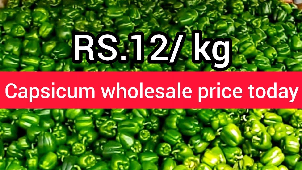 CAPCICUM AVAILABLE IN LIMITED STOCK Sabzi Mandi Price Today YouTube CAPCICUM AVAILABLE IN LIMITED STOCK Sabzi Mandi Price Today YouTube