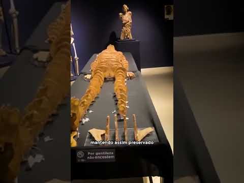 Vídeo: Museu Anatômico. Exposições chocantes dos museus anatômicos do mundo