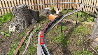 Garden Railroad June update