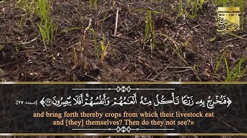 أولم يروا أنا نسوق الماء إلى الأرض الجرز فنخرج به زرعا تأكل منه أنعامهم وأنفسهم - سورة السجدة آية 27