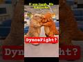 DynosFight? #pachy #Dynopals #bighorn #surreal #viral #meme