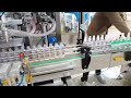 Automatic Liquid Soap Filling Machine/Detergent Lotion Bottle Filler For Manufacturing Plant