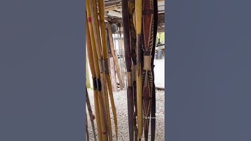 Selfbows rule! #novembersouth #selfbow #bowandarrow #osage #primitiveskills #archery #bowmaking