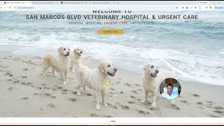 Marketing For Veternarians - SEO & Google Ads Case Study