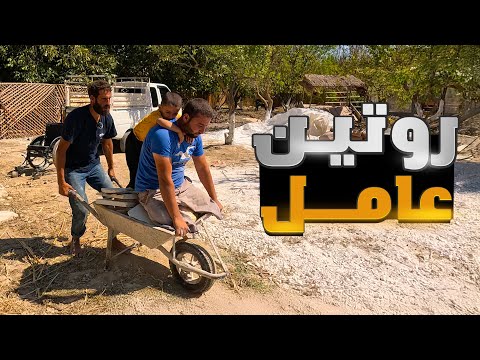 قضينا يوم كامل من العمل المتعب لتطوير البستان وطبخنا اطيب وجبة بأستراحة الغداء