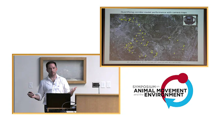 AMoveE 2014: Scott LaPoint