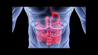 Get An Extremely Healthy Digestive System Fast! Subliminal Binaural Beat Hypnosis Theta Meditation