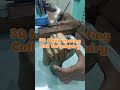 hamd hasting 3d trig agency Bengaluru call 8660231532