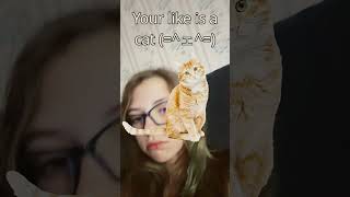 #cat