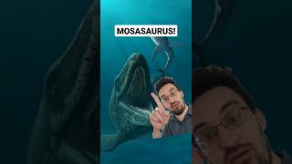 Mosasaurus! #dinosaurs #nature #prehistoricplanet #science #jurassicworld #shorts