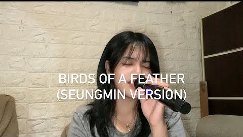 BIRDS OF A FEATHER - BILLIE EILISH | Cover (Seungmin Version)