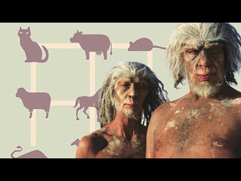 فيديو: ما هو الفرق بين التطور والتطور المشترك؟
