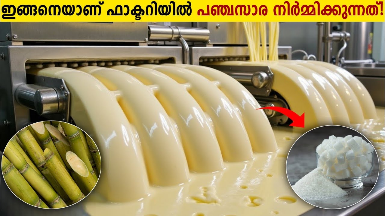 പഞ്ചസാര നിർമ്മിക്കുന്ന Factory ലെ അത്ഭുത കാഴ്ചകൾ!😱How Sugar Is Made In Factory | Storify