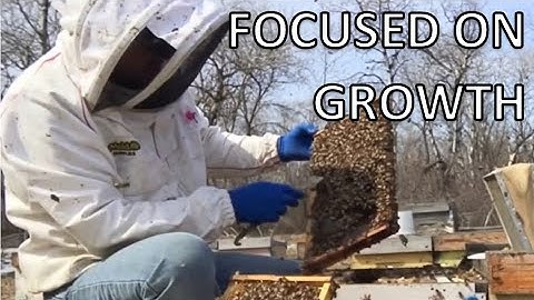 2020 Spring REWIND - Early Spring Nest Management, a cold Canadian Spring- part 1