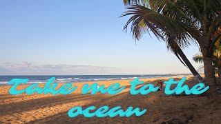 Take me to the ocean, Relaxing beach music by Snowbird  56 views 1 month ago 4 minutes, 31 seconds