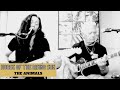 The animals house of the rising sun jennifer lyn  the groove revival cover