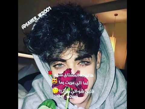 هالورده المشتاق شمه