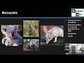 Vertebrate Classification Quiz