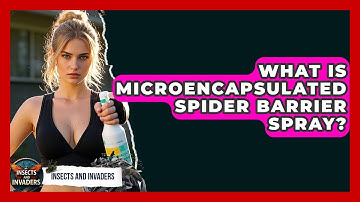 What Is Microencapsulated Spider Barrier Spray? - Insects and Invaders