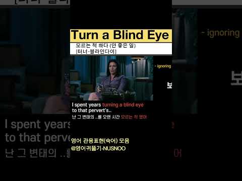 (안좋은쪽) 못본척 하다, 눈감아 주다  영어로