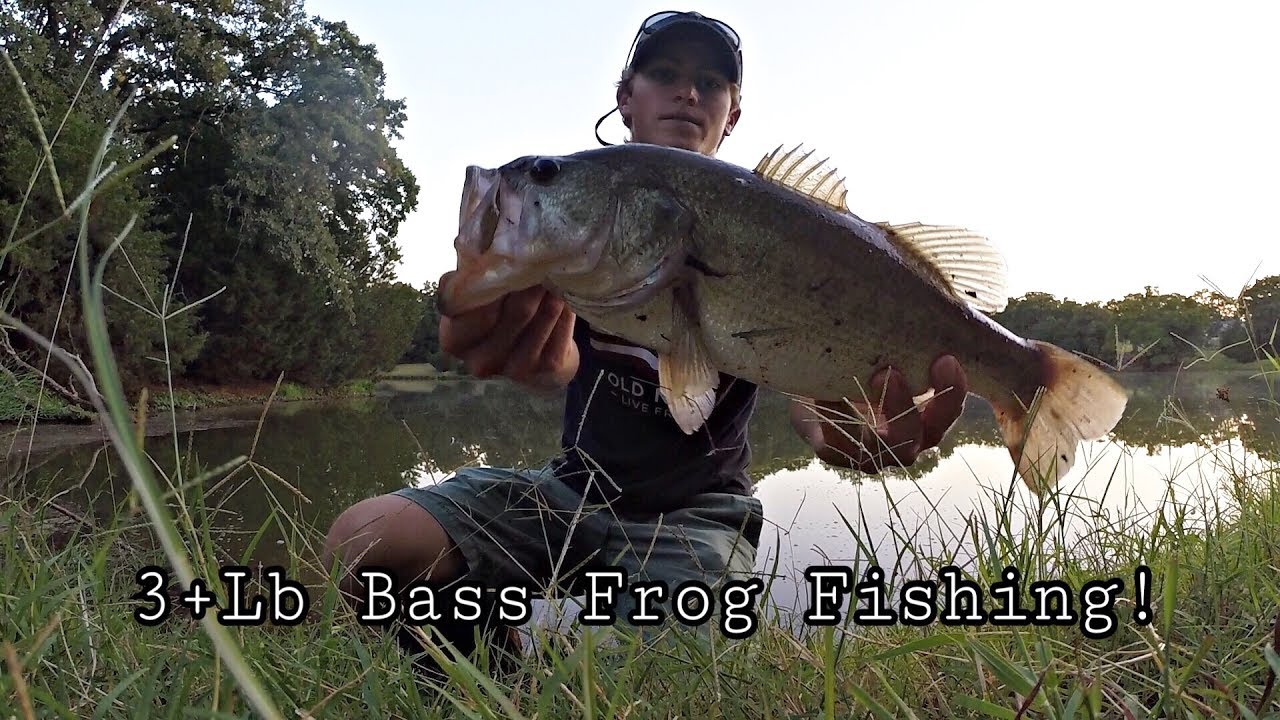 Bass Fishing With BooYah Top Water Frog YouTube