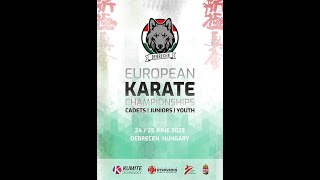 European Karate Championship for Juniors WKO. The battle-4.