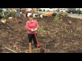Building a Rain Garden in the Pacific Northwest