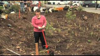 Building a Rain Garden in the Pacific Northwest