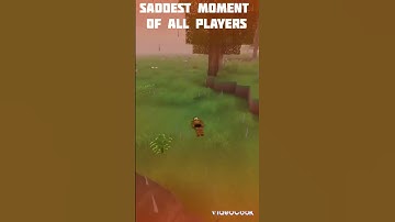 saddest moment part 1 in mini block craft.