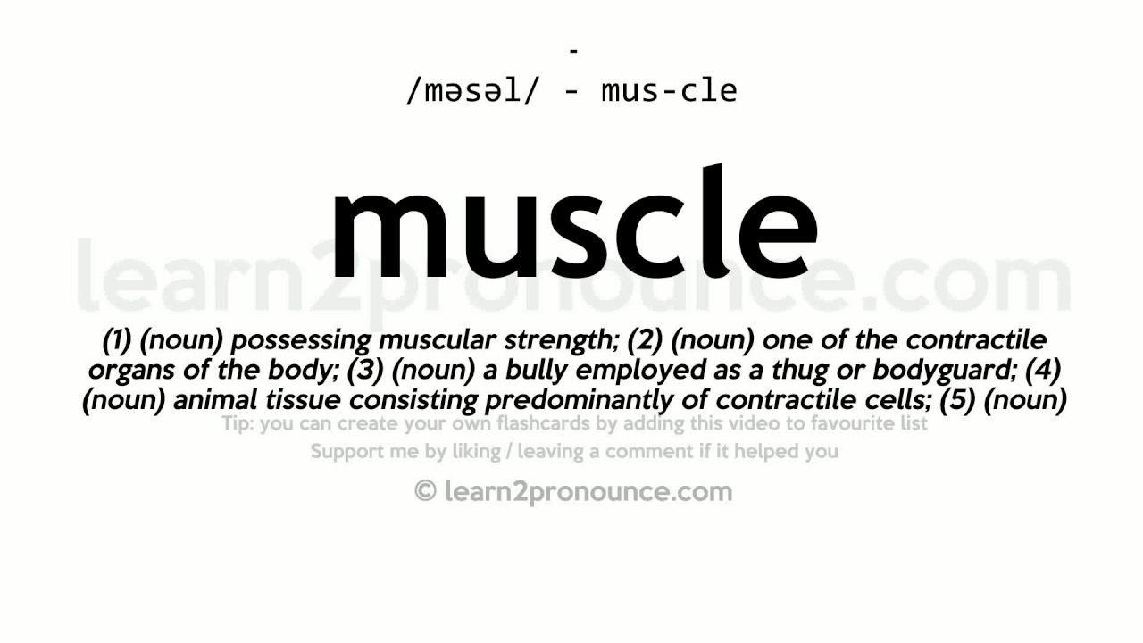 Muscle pronunciation and definition