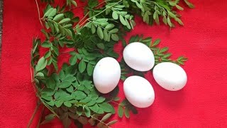 Moringa Leaves Egg Bhurji | Healthy Immune Booster |Drumstick Leaves Egg Bhurji | Vanitha's kitchen
