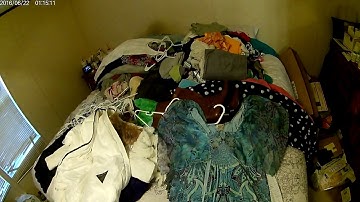 Step 1: Clothing - Shirts and Dresses - 6 Month KonMari Declutter Challenge