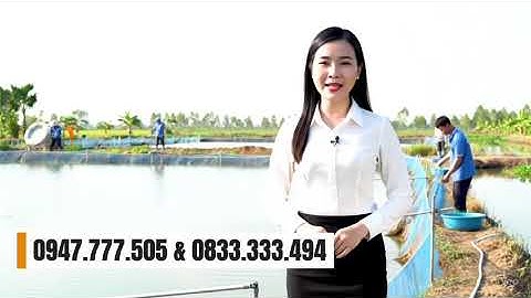 Trại tôm giống (tôm càng xanh) Trọng Tín, địa chỉ: Ngô Quyền, Phường 2 - Bạc Liêu