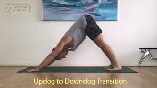 Updog To Downdog Transition: The Drag and Flip