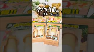 園芸ネット本店｜給水ツール：水やり当番Lサイズ（ベージュ）（1個入×1