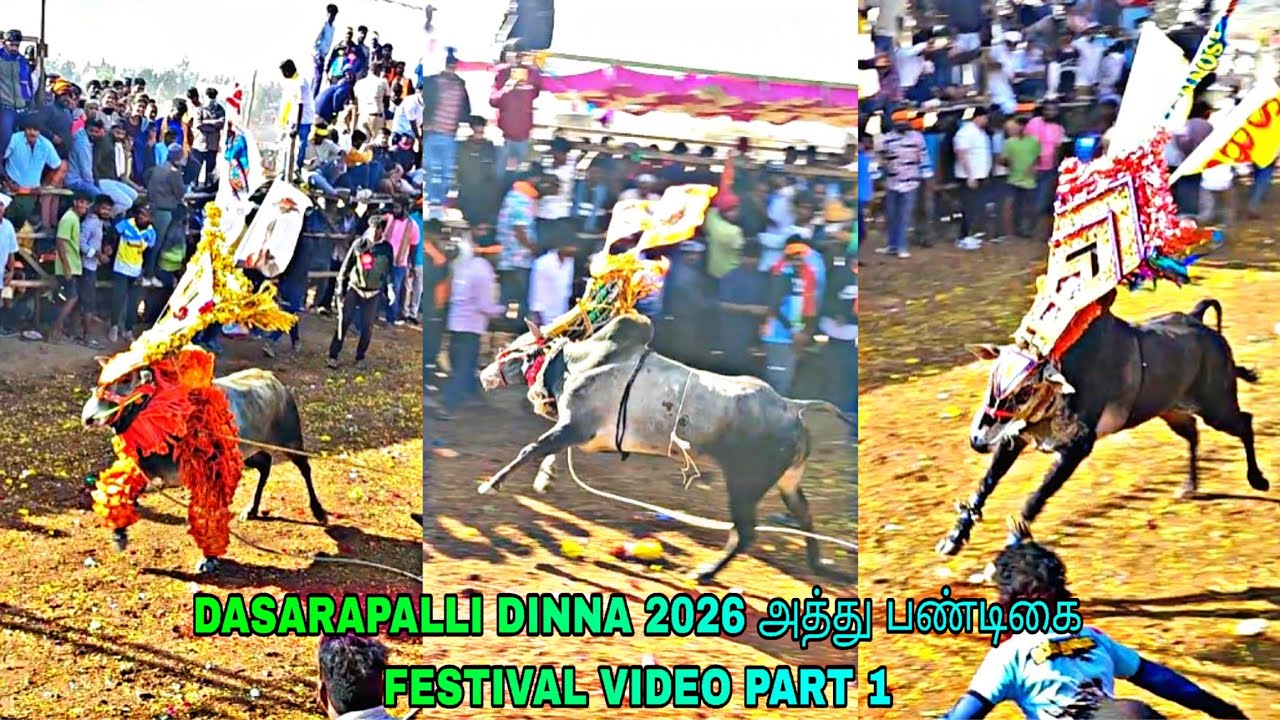 DASARAPALLI DINNA 2026 அத்து பண்டிகை FESTIVAL VIDEO PART 1 @bulletrani8271 