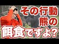 【死んだふりはNG？】クマと遭遇した時のやってはいけない4つの行動