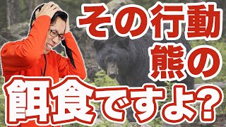 【死んだふりはNG？】クマと遭遇した時のやってはいけない4つの行動