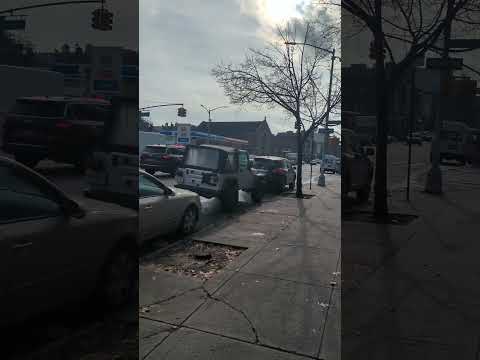 حي باي ريدج بروكلين نيويورك