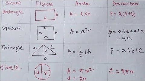 Area and Perimeter of all Shapes || Rectangle, Square, Triangle, Circle