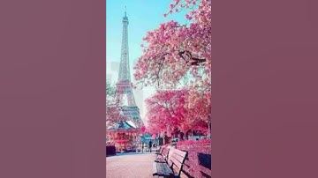 سورة الرحمان #اكسبلور #يارب #دويتو #الرحمن #لايك