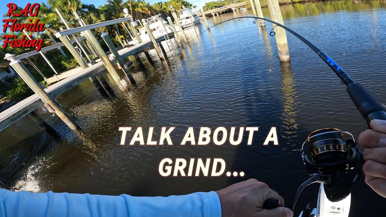 Как ОДНА РЫБА может изменить ВСЮ вашу поездку!!!! Рыболовные причалы и мосты для ловли снука!!