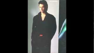 Rick Springfield-Stranger In The House. (hi-tech aor)