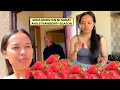 FILIPINA BRITISH LIFE IN UK:SANA MAABUTAN NI NANAY ANG STRAWBERRY SEASON! TAG ANI NG STRAWBERRY