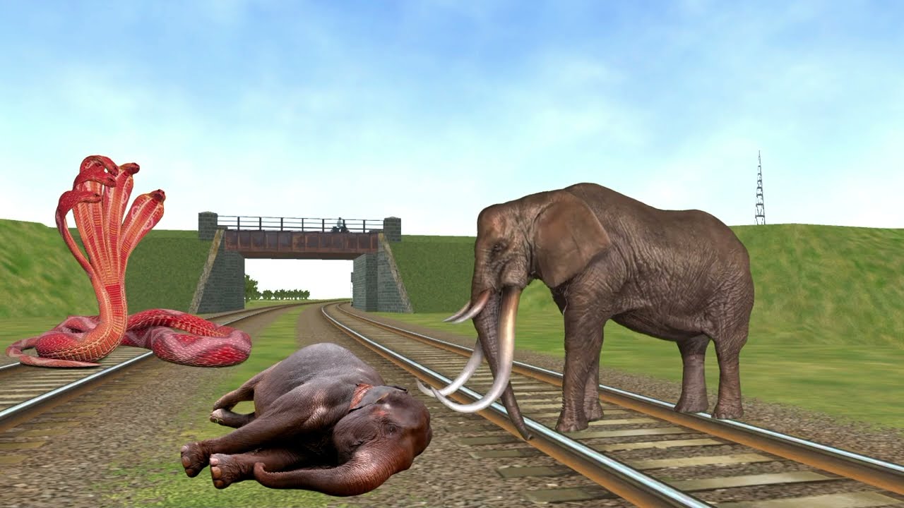 Elephant stops the train funny vfx