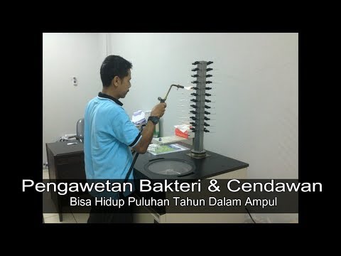 Video: Selama pengawetan mikroba?