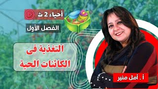 الأحياء  للصف الثانى الثانوى | التغذية فى الكائنات الحية